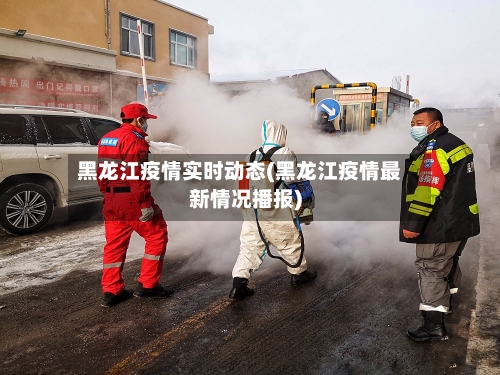 黑龙江疫情实时动态(黑龙江疫情最新情况播报)-第2张图片