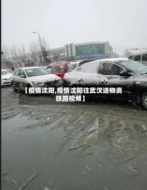 【疫情沈阳,疫情沈阳往武汉送物资铁路视频】