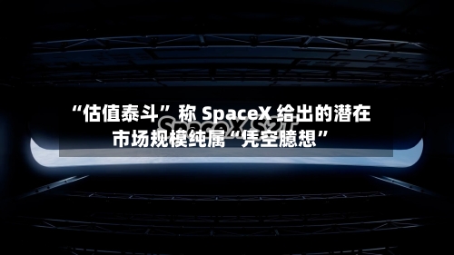 “估值泰斗	” 称 SpaceX 给出的潜在市场规模纯属“凭空臆想”-第3张图片
