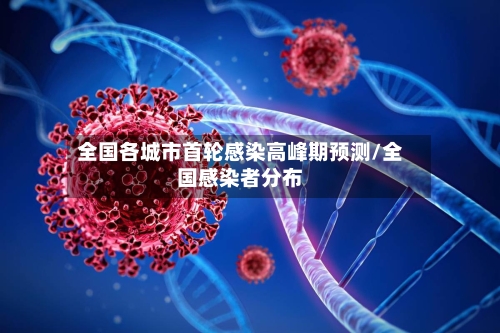 全国各城市首轮感染高峰期预测/全国感染者分布-第2张图片