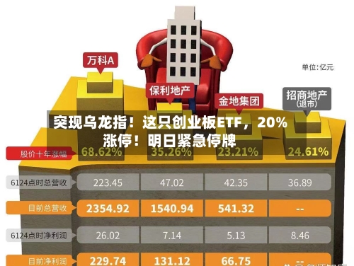 突现乌龙指！这只创业板ETF，20%涨停！明日紧急停牌-第2张图片