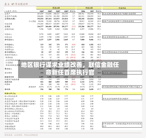 地区银行谋求业绩改善,联信金融任命新任首席执行官