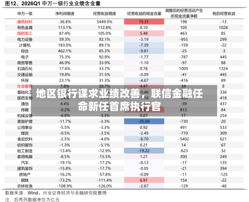 地区银行谋求业绩改善，联信金融任命新任首席执行官-第2张图片