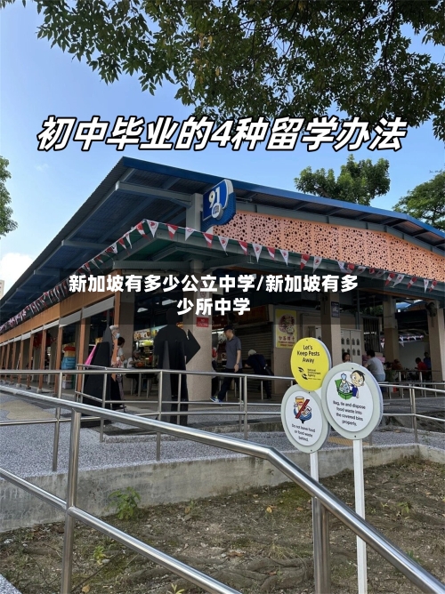新加坡有多少公立中学/新加坡有多少所中学-第3张图片