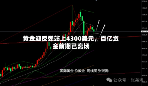 黄金迎反弹站上4300美元	，百亿资金前期已离场-第2张图片