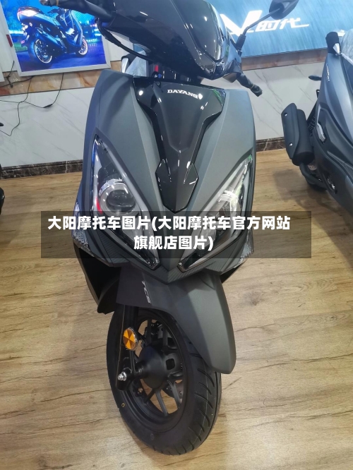 大阳摩托车图片(大阳摩托车官方网站旗舰店图片)-第3张图片