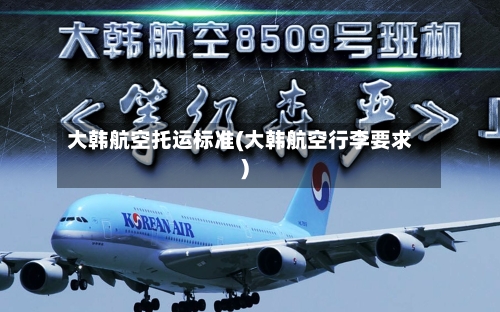 大韩航空托运标准(大韩航空行李要求)