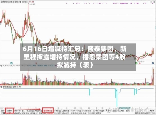 6月16日增减持汇总：盛泰集团、新里程披露增持情况，播恩集团等4股拟减持（表）