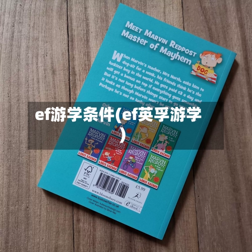 ef游学条件(ef英孚游学)-第3张图片