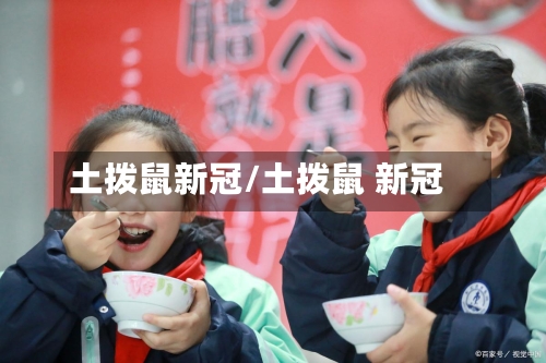 土拨鼠新冠/土拨鼠 新冠