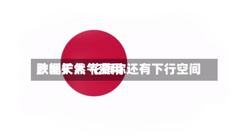 欧洲天然气费用跌幅扩大 花旗称还有下行空间