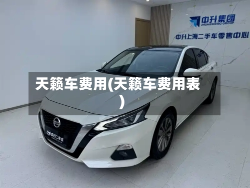 天籁车费用(天籁车费用表)