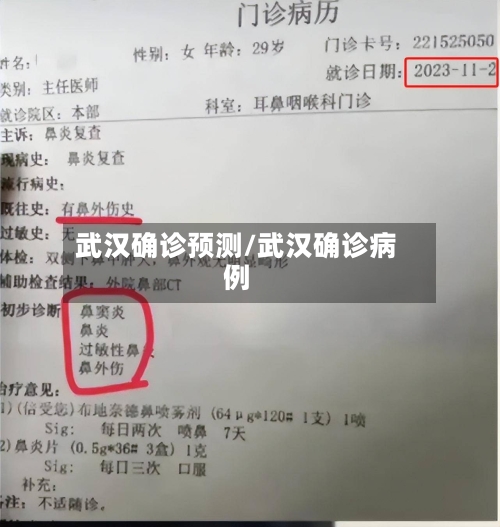武汉确诊预测/武汉确诊病例