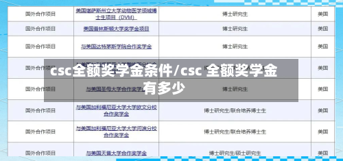 csc全额奖学金条件/csc 全额奖学金有多少-第2张图片