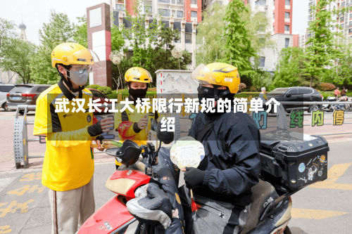 武汉长江大桥限行新规的简单介绍-第2张图片