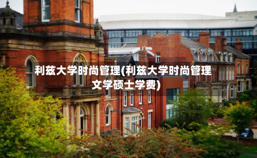 利兹大学时尚管理(利兹大学时尚管理文学硕士学费)-第3张图片