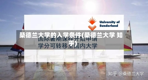 桑德兰大学的入学条件(桑德兰大学 知乎)-第2张图片
