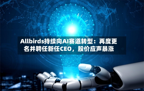 Allbirds持续向AI赛道转型：再度更名并聘任新任CEO	，股价应声暴涨-第2张图片