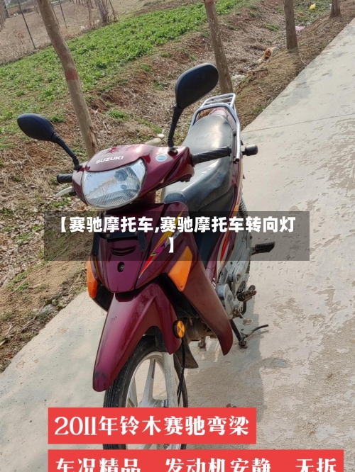 【赛驰摩托车,赛驰摩托车转向灯】-第3张图片