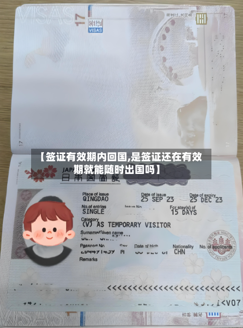 【签证有效期内回国,是签证还在有效期就能随时出国吗】-第2张图片