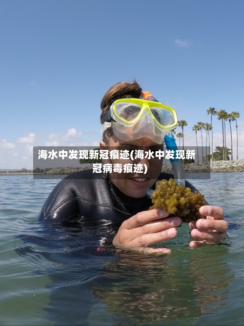 海水中发现新冠痕迹(海水中发现新冠病毒痕迹)