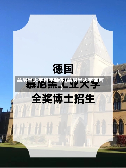 慕尼黑大学留学条件(慕尼黑大学如何)-第2张图片