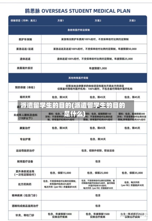 派遣留学生的目的(派遣留学生的目的是什么)