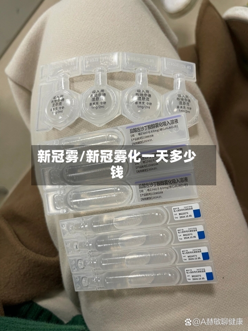 新冠雾/新冠雾化一天多少钱