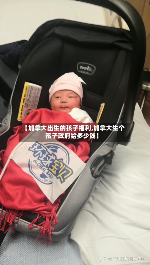 【加拿大出生的孩子福利,加拿大生个孩子政府给多少钱】-第2张图片