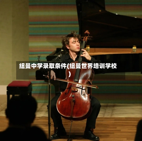 纽曼中学录取条件(纽曼世界培训学校)-第2张图片