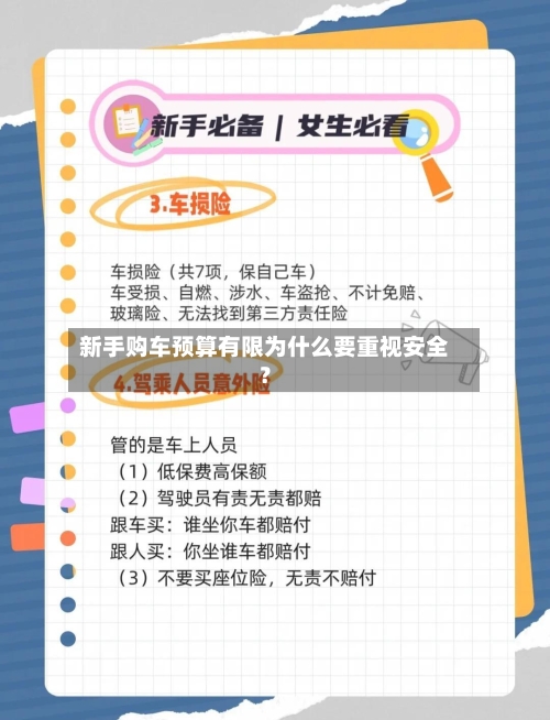 新手购车预算有限为什么要重视安全？-第2张图片