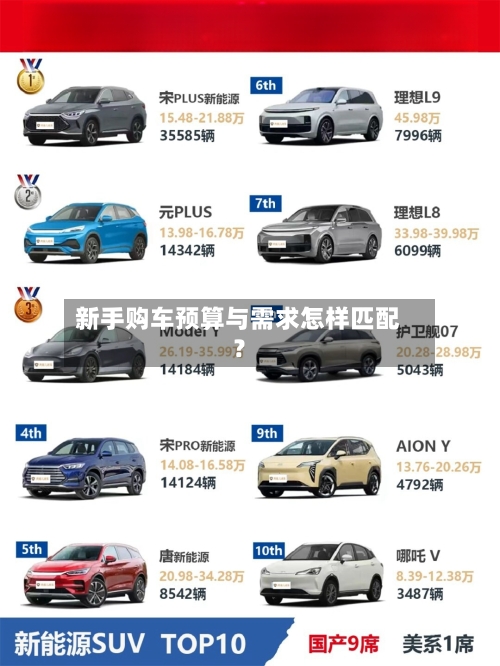 新手购车预算与需求怎样匹配？