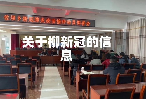 关于柳新冠的信息-第2张图片