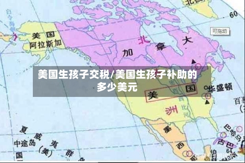 美国生孩子交税/美国生孩子补助的多少美元