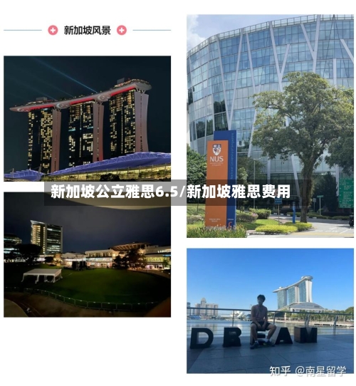 新加坡公立雅思6.5/新加坡雅思费用-第3张图片