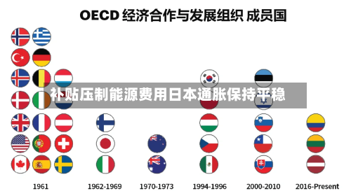 补贴压制能源费用日本通胀保持平稳
