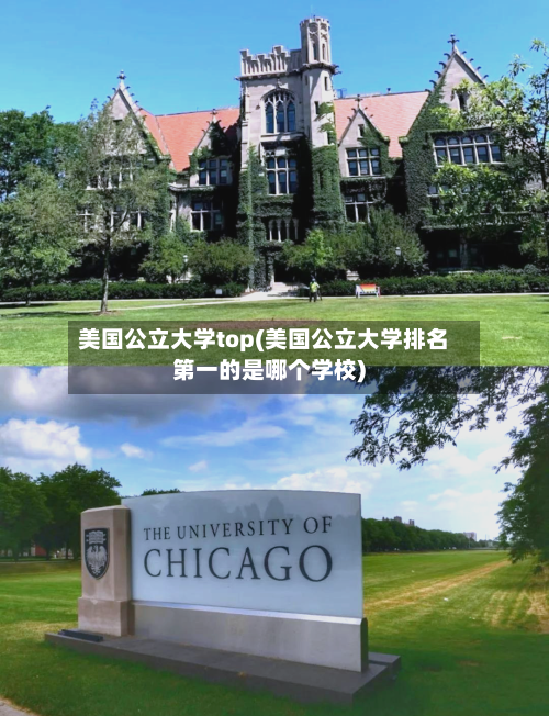 美国公立大学top(美国公立大学排名第一的是哪个学校)