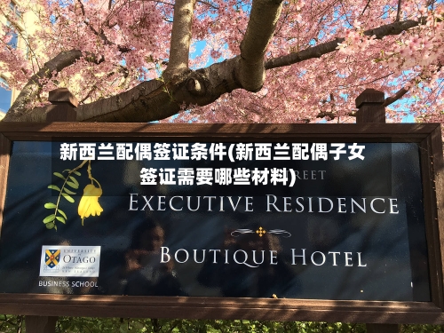 新西兰配偶签证条件(新西兰配偶子女签证需要哪些材料)-第3张图片