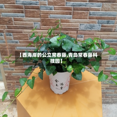 【西海岸的公立常春藤,青岛常春藤科技园】-第2张图片