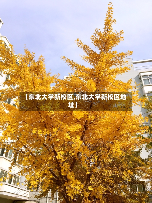 【东北大学新校区,东北大学新校区地址】