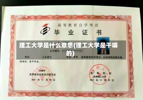 理工大学是什么意思(理工大学是干嘛的)-第2张图片