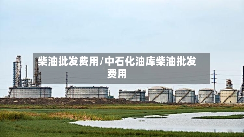柴油批发费用/中石化油库柴油批发费用
