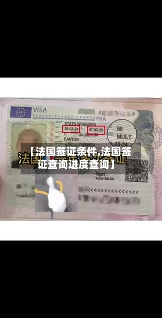 【法国签证条件,法国签证查询进度查询】