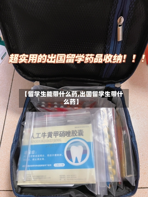【留学生能带什么药,出国留学生带什么药】-第3张图片