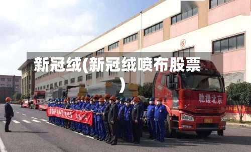新冠绒(新冠绒喷布股票)-第3张图片