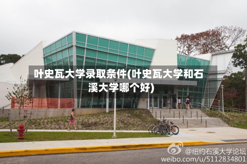 叶史瓦大学录取条件(叶史瓦大学和石溪大学哪个好)-第3张图片