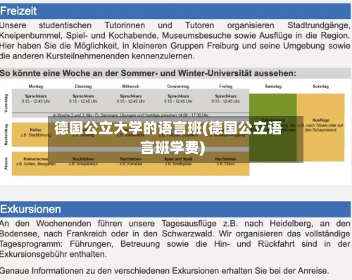 德国公立大学的语言班(德国公立语言班学费)-第2张图片