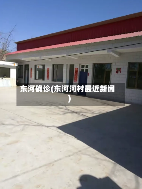 东河确诊(东河河村最近新闻)-第2张图片