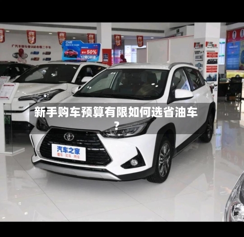 新手购车预算有限如何选省油车？-第3张图片