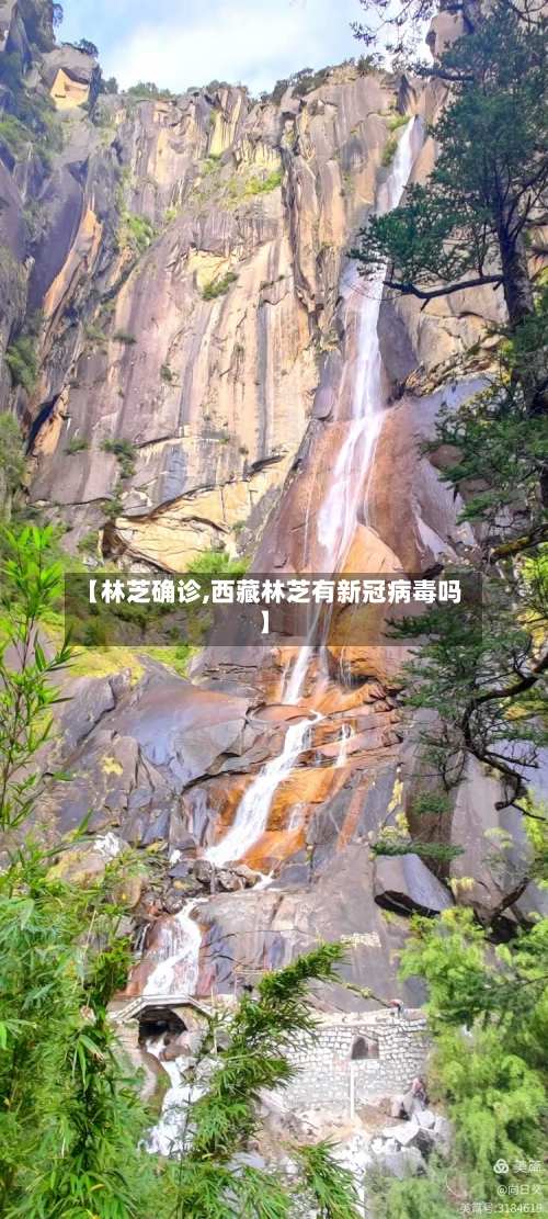 【林芝确诊,西藏林芝有新冠病毒吗】
